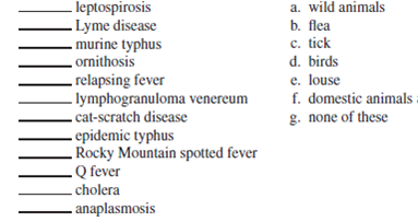 Select the correct answer from the answers provided. For questions with blanks, choose the combination of answers that most accurately completes the statement. Single Matching. Match each disease in the left column with its vector or vectors in the right column.