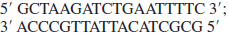 Which of the following set(s) of primers could you use to amplify the target DNA sequence below, which is part of the last protein-coding exon of the CFTR gene a. b. c. d.