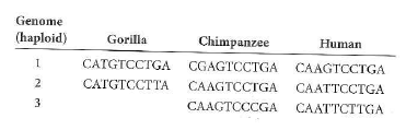 Problem 8 in this chapter showed three different sequences of the same autosome in human populations. These sequences are each from a single chromatid. You know this to be true because the PCR amplifications were from individual haploid gametes. If you wanted to obtain the same information by PCR amplification of genomic DNA from somatic cells, the problem would be somewhat more complicated because the starting cells are diploid. Each PCR product to be sequenced would thus actually be amplified from two homologous chromosomes. You could still verify the existence of the three different haploid sequences shown in Problem 8 by analyzing the somatic genomic DNA from as few as two people (if they happened to be the right people). a. Indicate the diploid genotypes of two people from whom you could identify these three different haploid sequences. Account for all 10 nucleotides in the sequences. There are three possible correct answers; you only need to show one. b. If you PCR amplified DNA from somatic genomic DNA from a person with one particular genotype, you would not be able to conclude that their genome contains any of these three sequences. What is the genotype of this person Explain why you could not reach this conclusion. Problem 8 Humans and gorillas last shared a common ancestor about 10 million years ago. Humans and chimps last shared a common ancestor about 6 million years ago. The table below shows the corresponding genomic region from two gorilla gametes, three chimpanzee gametes, and three human gametes. a. Draw a cladogram similar to that in Fig. 10.6b to show the evolutionary relationships among these three species. b. The data reveal six polymorphisms among these eight genomes, at positions 2 (A or G), 3 (A or T), 4 (G or T), 7 (C or T), 8 (C or T), and 9 (G or T). On your cladogram, indicate approximately when the mutations that produced each of these polymorphisms occurred. For each allele, state whether it is ancestral, derived, or that you can't tell. c. Infer the sequences in (i) the last common ancestor of humans and chimpanzees, and (ii) the last common ancestor of all three species. Use a question mark ( ) to represent any uncertainty. Figure 10.6 Inferring the evolutionary history of SNPs. (b) Cladogram (diagram of evolutionary lineages). Locus 1 ( light blue ) differs between chimps and humans, but all humans have the same allele (G).The mutation causing the locus 1 difference must have occurred since the species diverged, either in the lineage leading to chimps or that leading to humans; the allele at this position in the most recent common ancestor of the two species cannot be determined. At locus 2 ( orange ) , the C allele shared between chimps and some humans must be ancestral, while the T allele in other humans must be derived (that is, caused by a recent mutation specifically in the lineage of some humans).