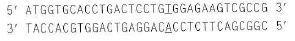 A partial sequence of the wild-type Hb A allele is shown here (the top strand is the RNA-like coding strand, and the location of the disease-causing mutation is underlined): and the sickle-cell allele HB s sequence is: Design two 21-nucleotide-long ASOs that could be attached to a silicon chip for the microarray analysis performed in Problem 20. Two possibilities exist for each ASO; you only need to show one possibility for each. Problem 20 Microarrays were used to determine the genotypes of seven embryos (made by in vitro fertilization) with regard to sickle-cell anemia. Each pair of squares in the figure below represents two ASOs, one specific for the Hb A allele (A) and the other for the HB S allele (T), attached to a chip of silicon and hybridized with fluorescently labeled PCR product from a single cell from one of the embryos. The hybridizations were performed at three different temperatures (80°C, 60°C, and 40°C) as shown. a. Why do you think the PCR step is needed for this microarray analysis b.Make a sketch of the location in genomic DNA of the PCR primers relative to the sickle-cell mutation. Indicate the 5 -to-3 polarities of all DNA molecules involved. c. Why is no hybridization seen at 80°C d. Why do you see strong hybridization of all genomic DNA probes to both ASOs at 40°C e. What are the genotypes of the seven embryos Which of these embryos would you choose to implant into the mother s uterus so as to avoid the possibility that the child would have sickle-cell anemia