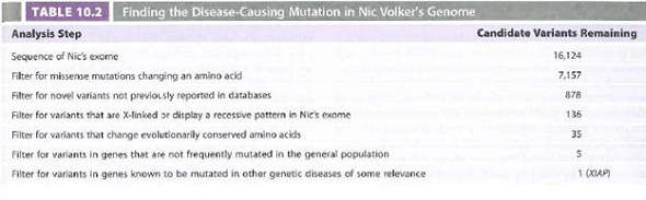 Table 10.2 and Fig. 10.27 together portray the search for the mutation causing Nic Volker's severe inflammatory bowel disease. Neither of Nic's parents had the condition, so geneticists narrowed their investigation by focusing on rare variants that showed a recessive pattern and those on the X chromosome. a. For candidate variants on an autosome, would the researchers have looked only for variants for which Nic is homozygous Explain. b. Apart from the recessive and X-linked hypotheses, do any other possible explanations exist for Nic's condition c. The causative mutation was pinpointed by analyzing only Nic's exome, because at the time of these investigations, whole-genome or whole-exome sequencing was too expensive to perform on his parents. How could you determine inexpensively whether or not this mutation occurred de novo in the germ line of one of his parents (that is, during the formation of the particular egg or sperm that produced Nic) Your answer should not involve whole-genome or whole-exome sequencing. Figure 10.27 A mutation in a conserved amino acid in the XIAP protein. Amino acids 195-211 (numbering from the N terminus) of the XIAP protein, written in the one-letter code. Compared to the XIAP protein encoded by the human RefSeq (second row), Nic Volker's XIAP (first row) has an amino acid substitution at position 203, from cysteine (C) to tyrosine (Y). In all other species examined, cysteine is found at this position; this evolutionary conservation suggests that the mutation in Nic's genome might alter XIAP function.