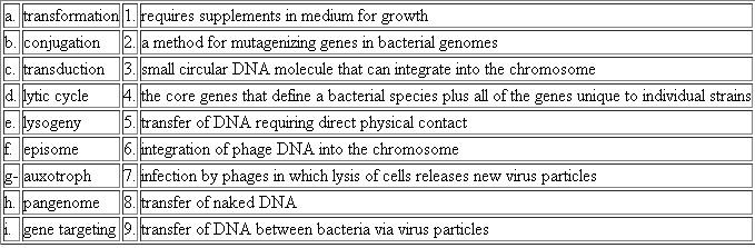 Choose the phrase from the right column that best fits the term in the left column.