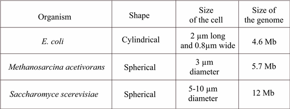 In the given data, there are three major criteria are given regarding If we must determine an unknown organism based on given descriptions, then if the genome of the organism is having introns then it might be Archaean or eukaryote but not bacterium because bacterium doesn't contain any introns. Shape of the organism cannot be used as criteria for determination because it is not the perfect description of any organism to determine its class. Now we must distinguish between Archaean and eukaryote then size of organism or genome size is the best way to determine between them because size of eukaryote is bigger than Archaean in both respects i.e. organism size as well as genome size. Hence in this way, we can determine the uncharacterized microorganism based on given descriptions.