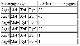 The Problem require you to diagram recombination events that can replace specific genes on the chromosome of a recipient cell with copies of those genes introduced from a donor cell. As seen in the solution to Solved Problem I, only an even number of crossovers can produce viable recombinant chromosomes. Gene mapping is simplified if you remember that progeny classes that result from four crossovers are found much less frequently than progeny classes that require two crossovers. One issue with interrupted-mating experiments such as that in Problem 17 is that gene order may be ambiguous if the genes are close together. Another shortcoming is that such experiments do not provide accurate map distances. The reason is that researchers select for the first Hfr marker transferred into the recipient, but the recovery of F exconjugants with a later Hfr marker is complex, depending both on transfer of the marker into the cell and on crossovers that transfer the marker into the recipient chromosome. To make more accurate maps, bacterial geneticists often do Hfr × F crosses in a different way: They select for exconjugants that contain a late Hfr marker, and then screen for the presence of the earlier markers. This method ensures that all of the markers have entered the F cell, so relative gene distances now solely reflect crossover frequencies. Furthermore, gene order is clarified by considering the crossovers responsible for each class of exconjugants. As an example, suppose you performed the same cross as in Problem 17, but you selected for Arg 1 exconjugants, and then screened them for the earlier Hfr markers Mal + Xyl + and Pyr +. You obtained the following data: a. Explain why four of the exconjugant types are much more frequent than the other two. b. What can you conclude about the relative distances between the four genes c. The data allow you to estimate one other relevant genetic distance. Explain. Problem 17 Solved Problem I
