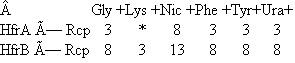 Suppose you have two Hfr strains of E. coli (HfrA and HfrB), derived from a fully prototrophic streptomycin- sensitive (wild-type) F + strain. In separate experiments you allow these two Hfr strains to conjugate with an F - recipient strain (Rcp) that is streptomycin resistant and auxotrophic for glycine (Gly - ), lysine (Lys - ), nicotinic acid (Nic - ), phenylalanine (Phe - ), tyrosine (Tyr - ). and uracil (Ura - ). By using an interrupted mating protocol you determined the earliest time after mating at which each of the markers can be detected in the streptomycin-resistant recipient strain, as shown here. (The * indicates that no Lys + cells were recovered in the 60 minutes of the experiment.) a. Draw the best map you can from these data, showing the relative locations of the markers and the origins of transfer in strains HfrA and HfrB. Show distances where possible. b. To resolve ambiguities in the preceding map, you studied cotransduction of the markers by the generalized transducing phage P1. You grew phage P1 on strain HfrB and then used the lysate to infect strain Rcp. You selected 1000 Phe + clones and tested them for the presence of unselected markers, with the following results: Draw the order of the genes as best you can based on the preceding cotransduction data. c. Suppose you wanted to use generalized transduction to map the gly gene relative to at least some of the other markers. How would you modify the co- transduction experiment just described to increase your chances of success Describe the composition of the medium you would use.