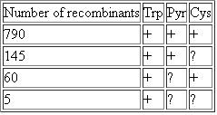The Problem require you to diagram recombination events that can replace specific genes on the chromosome of a recipient cell with copies of those genes introduced from a donor cell. As seen in the solution to Solved Problem I, only an even number of crossovers can produce viable recombinant chromosomes. Gene mapping is simplified if you remember that progeny classes that result from four crossovers are found much less frequently than progeny classes that require two crossovers. Starting with an F strain that was prototrophic (that is, had no auxotrophic mutations) and Str S , several independent Hfr strains were isolated. These Hfr strains were mated to an F + strain that was Str r Arg Cys His Ilv Lys Met Nic Pab Pyr Trp . Interrupted-mating experiments showed that the Hfr strains transferred the wild-type alleles in the order listed in the following table as a function of time. The time of entry for the markers within parentheses could not be distinguished from one another. a. From these data, derive a map of the relative position of these markers on the bacterial chromosome. Indicate with labeled arrows the position and orientation of the integrated F plasmid for each Hfr strain. b. To determine the relative order of the trp , pyr , and cys markers and the distances between them, HfrB was mated with the F strain long enough to allow transfer of the nic marker, after which Trp + recombinants were selected. The unselected markers pyr and cys were then scored in the Trp + recombinants, yielding the following results: Draw a map of the trp, pyr, and cys markers relative to each other. (Note that you cannot determine the order relative to the nic or his genes using these data.) Express map distances between adjacent genes as the frequency of crossing-over between them. Solved Problem I