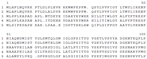 A multiple sequence alignment of five homologous proteins is shown here:     Discuss some of the interesting features that this alignment reveals.