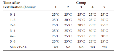 Take a look at solved problem S3 before answering this question. Drosophila embryos carrying a ts mutation were exposed to the permissive (25°C) or nonpermissive (30°C) temperature at different stages of development. Explain these results. Problem S3 Mutations in genes that control the early stages of development are often lethal (e.g., see Figure 25.7b). To circumvent this problem, developmental geneticists may try to isolate temperature-sensitive developmental mutants, or ts alleles. If an embryo carries a ts allele, it will develop correctly at the permissive temperature (e.g., 25°C) but will fail to develop if incubated at the nonpermissive temperature (e.g., 30°C). In most cases, ts alleles are missense mutations that slightly alter the amino acid sequence of a protein, causing a change in its structure that prevents it from working properly at the nonpermissive temperature. ts alleles are particularly useful because they can provide insight regarding the stage of development when the protein encoded by the gene is necessary. Researchers can take groups of embryos that carry a ts allele and expose them to the permissive and nonpermissive temperature at different stages of development. In the experiment described next, embryos were divided into five groups and exposed to the permissive or nonpermissive temperature at different times after fertilization. FIGURE 25.7 The bicoid mutation in Drosophila. (b) A larva from a homozygous bicoid mother in which both ends of the larva develop posterior structures. For example, both ends develop a spiracle, which normally is found only at the posterior end. This is a lethal condition. Explain these results.