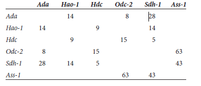 Though we often think of genes in terms of the phenotypes they produce (e.g., curly leaves, flaky tail, brown eyes), the molecular function of most genes is to encode proteins. Many cellular proteins function as enzymes. The following table describes the map distances between six different genes that encode six different enzymes: Ada , adenosine deaminase; Hao - 1 , hydroxyacid oxidase-1; Hdc ,histidine decarboxylase; Odc - 2 , ornithine decarboxylase-2; Sdh - 1 , sorbitol dehydrogenase-1; and Ass - 1, arginosuccinate synthetase-1.Map distances between two genes: a. Construct a genetic map that describes the locations of all six genes.