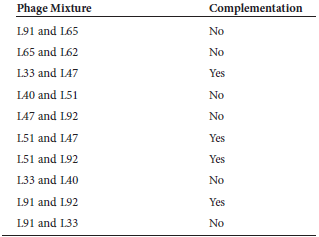Here are data from several complementation experiments, involving rapid-lysis mutations in genes rIIA and rIIB. The strain designated L51 is known to have a mutation in rIIB. a. List which groups of mutations are in the rIIA gene and which groups are in the rIIB gene.
