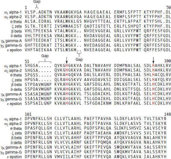 Take a look at the multiple sequence alignment in Figure 23.10 of the globin polypeptides from amino acids 101 to 148 a. Which of these amino acids are likely to be most important for globin structure and function Explain why b. Which are likely to be least important FIGURE 23.10 A multiple sequence alignment among selected members of the globin gene family in humans.