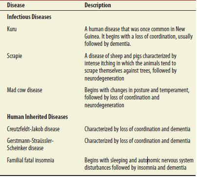 Familial fatal insomnia (described in Table 24.6) is a prion disease inherited as an autosomal dominant trait. Researchers have identified the PrP gene, located on the short arm of chromosome 20, and tried to understand the relationship between the PrP gene sequence and the molecular basis of familial fatal insomnia a. It has been found that a rare mutation at codon 178, changing an aspartic acid to an asparagine, can cause this disease. In addition, codon 129 seems to play a role. The human population is polymorphic at codon 129, which may encode valine or methionine. If codon 178 is the normal aspartic acid (Asp) codon, it does not seem to matter if valine or methionine is found at position 129. In other words, if codon 178 is aspartic acid, Met-129 and Val-129 codons are not associated with disease symptoms. However, if codon 178 specifies asparagine (Asn), then it does matter. Familial fatal insomnia seems to require an asparagine at codon 178 and a methionine at codon 129 in the PrP gene sequence. Suggest a possible reason why this is the case b. Also, researchers have compared the sequences of the PrP gene in many people with familial fatal insomnia. Keep in mind that this is a dominant autosomal trait, so people with this disorder have one mutant copy of the PrP gene and one normal copy. People with familial fatal insomnia must have one abnormal copy of the gene that contains Asn-178 and Met-129. The second copy of the gene has Asp-178, and it may have Met-129 or Val-129. Some results suggest that people having a Met-129 codon in this second copy of the PrP gene causes the disease to develop more rapidly than in people who have Val-129 in the second copy. Propose an explanation why disease symptoms may occur more rapidly when Met-129 is found in the second copy of the PrP gene.Table 24.6 Neurodegenerative Diseases Caused by Prions*