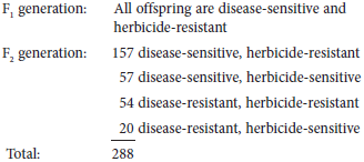 A cross was made between two strains of plants that are agriculturally important. One strain was disease-resistant but herbicide-sensitive; the other strain was disease-sensitive but herbicide-resistant. A plant breeder crossed the two plants and then allowed the F 1 generation to self-fertilize. The following data were obtained: Formulate a hypothesis that you think is consistent with the observed data. Test the goodness of fit between the data and your hypothesis using a chi square test. Explain what the chi square results mean.