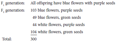 A cross was made between a plant that has blue flowers and purple seeds to a plant with white flowers and green seeds. The following data were obtained: Start with the hypothesis that blue flowers and purple seeds are dominant traits and that the two genes assort independently. Calculate a chi square value. What does this value mean with regard to your hypothesis If you decide to reject your hypothesis, which aspect of the hypothesis do you think is incorrect (i.e., the idea that blue flowers and purple seeds are dominant traits, or the idea that the two genes assort independently)