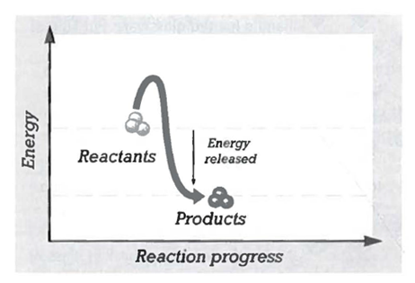 INTERPRETING GRAPHICS: The graph below shows the energy in a chemical reaction as the reaction progresses. Use the graph to answer the questions that follow. What is an aqueous solution that contains more hydroxide ions than hydronium ions called? A) a gas B) a base C) a solid D) an acid