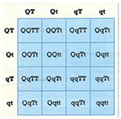 Interpreting Graphics Use the Punnett square below to answer the questions that follow. A. Does the Punnett square demonstrate a monohybrid cross or a dihybrid cross? b. List the genotypes of the parents. c. Give the genotypic ratio predicted by the Punnett square for the cross.
