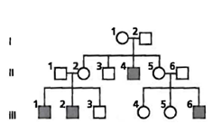 INTERPRETING GRAPHICS: The image below is a pedigree showing the inheritance of hemophilia in a family. Use the pedigree to answer the question that follows. A Pedigree of Hemophilia Which type of inheritance pattern is associated with hemophilia? A) autosomal recessive B) sex-linked dominant C) sex-linked recessive D) autosomal dominant