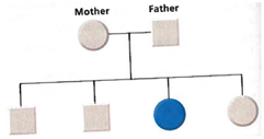 Interpreting Graphics The individual shown in blue (third from the left, bottom row) in the pedigree below is affected by a genetic disorder. State the pattern of inheritance for the disorder and whether the disorder is autosomal or sex-linked. Explain your answer.