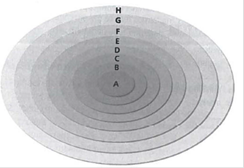 INTERPRETING GRAPIHCS: The diagram below represents the eight levels of classification. Use the diagram to answer the question that follows. Which level of classification represents a species? F) A G) C H) D J) G