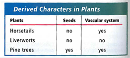 Interpreting Graphics A taxonomist has recorded the data below. Identify the least common derived character. List the order that the plants in the table would be placed on a cladogram.