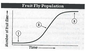 INTERPRETING GRAPHICS: The graph below shows the growth of a population of fruit flies over time. Use the graph to answer the question that follows. At which point would a density-dependent limiting factor have a greater impact on the population? A) 1 B) 2 C) 3 D) Both 1 and 3
