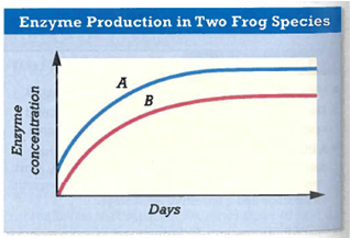 Analyzing Graphics When tadpoles undergo metamorphosis, their bodies begin to produce an enzyme that converts ammonia into urea. The time that a tadpole takes to produce this enzyme varies among species. In the graph below, the rate of enzyme production is shown for a species that inhabits a desert-like environment and a species that inhabits a forest environment. Which curve represents which frog? Explain.