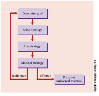 Formal-operational adolescents are able to reason abstractly. How might this ability help them use the study skills shown in ? Figure 1 more effectively? Figure 1 Effective learning involves understanding the goals of the task, selecting an appropriate strategy, and monitoring the effectiveness of the chosen strategy.   