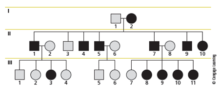 You are a researcher studying bipolar disorder. Your results from genomic SNP analysis show linkage between SNP haplotypes on chromosome 7 and bipolar illness. Later in the study, you find that a number of individuals do not carry this SNP haplotype but still develop the disease. Does this mean that bipolar disorder is not genetic?
