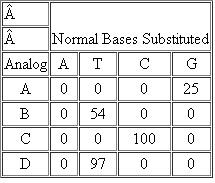 Base analogs are compounds that resemble the natural bases found in DNA and RNA but are not normally found in those macromolecules. Base analogs can replace their normal counterparts in DNA during in vitro DNA synthesis. Researchers studied four base analogs for their effects on in vitro DNA synthesis using E. coli DNA polymerase. The results were as follows, with the amounts of DNA synthesized expressed as percentages of the DNA synthesized from normal bases only: Which bases are analogs of adenine? of thymine? of cytosine? of guanine?