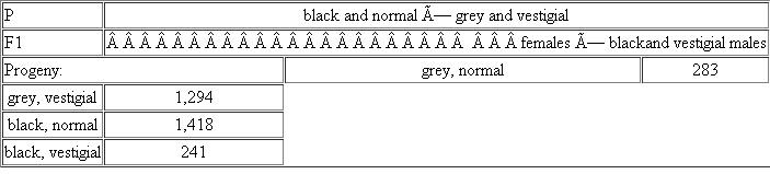 In Drosophila, the mutant black ( b ) has a black body, and the wild type has a grey body; the mutant vestigial ( vg ) has wings that are much shorter and crumpled, compared with the long wings of the wild type. In the following cross, the true-breeding parents are listed together with the counts of offspring of F 1 females black and vestigial males: Use these data to calculate the map distance between the black and vestigial genes.
