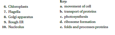 For questions 6-10, match the structure to the function in the key.