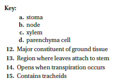 For questions 12-15, match the definitions with the structure in the Key)