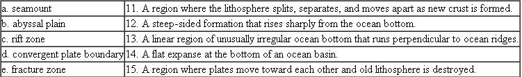 Match each of the following terms with the appropriate description:
