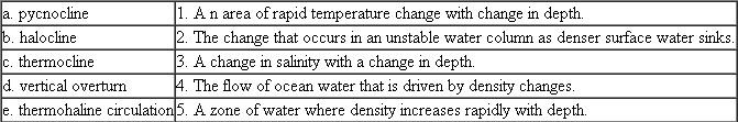 Match the following terms with the appropriate definition:
