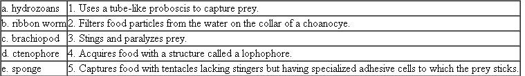 Match each of the following animals with their mode of feeding: