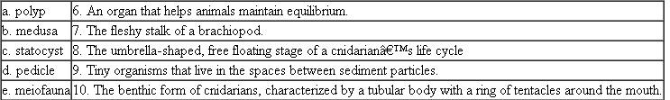 Match each of the following terms with the appropriate definition or description: