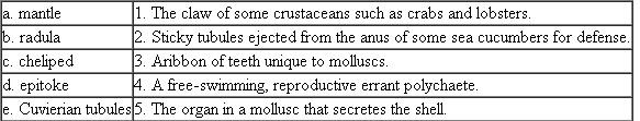 Match the following structures with the appropriate definition or description: