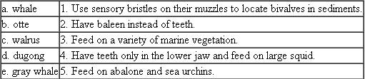 Match the following animals with the appropriate description:  