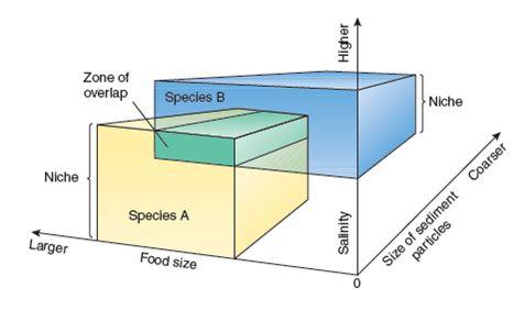Does the area of overlap in Figure indicate that species A and species B have overlapping niches and will be in direct competition under those conditions Why or why not Figure A NICHE. An organism's niche is determined by a variety of abiotic and biotic factors acting together on the organism. This three-dimensional graph shows how several factors (food size, salinity, and size of sediment particles) interact to form niches for two species of burrowing worm. On the basis of this graph, we can see that species A prefers to burrow in substratum composed of smaller sediment particles where the salinity of the water is low and prefers to feed on medium- to large-sized food items. Species B, on the other hand, prefers coarser sediments where the salinity of the water is higher and prefers smaller food items. The zone of overlap indicates the combination of sediments, salinity, and food that would meet the requirements of both organisms.