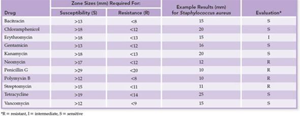 Referring to figure 12.1 a , determine whether the cultured bacterium is sensitive, intermediate, or resistant to each of the antibiotic drugs tested and provide an explanation in each case. b. Referring to figure 12.3 a , determine the minimum inhibitory concentration (MIC) of the drugs being tested, providing an explanation for your answer. Figure 12.1a Technique for preparation and interpretation of disc diffusion tests. (a) Standardized methods are used to seed a lawn of bacteria over the medium. A dispenser delivers several drug-impregnated discs onto a plate, followed by incubation. Interpretation of results: During incubation, antimicrobials become increasingly diluted as they diffuse out of the discs into the medium. If the test bacterium is sensitive to a drug, a zone of inhibition develops around its disc. Roughly speaking, the larger the size of this zone, the greater is the bacterium's sensitivity to the drug. The diameter of each zone is measured in millimeters and evaluated for susceptibility or resistance by means of a comparative standard (see table 12.3). (a) *R and S values differ from table 12.3 due to differing concentrations of the antimicrobials. Table 12.3 Results of a Sample Kirby-Bauer Test Figure 12.3a: Tube dilution test for determining the minimum inhibitory concentration (MIC). (a) The antibiotic is diluted serially through tubes of liquid nutrient from right to left. All tubes are inoculated with an identical amount of a test bacterium and then incubated. The first tube on the left is a control that lacks the drug and shows maximum growth. The first tube in the series that shows no growth (no turbidity) contains the concentration of antibiotic that is the MIC.