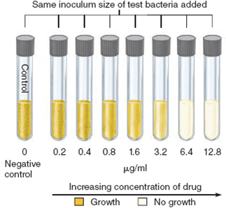 Referring to figure 12.1 a , determine whether the cultured bacterium is sensitive, intermediate, or resistant to each of the antibiotic drugs tested and provide an explanation in each case. b. Referring to figure 12.3 a , determine the minimum inhibitory concentration (MIC) of the drugs being tested, providing an explanation for your answer. Figure 12.1a Technique for preparation and interpretation of disc diffusion tests. (a) Standardized methods are used to seed a lawn of bacteria over the medium. A dispenser delivers several drug-impregnated discs onto a plate, followed by incubation. Interpretation of results: During incubation, antimicrobials become increasingly diluted as they diffuse out of the discs into the medium. If the test bacterium is sensitive to a drug, a zone of inhibition develops around its disc. Roughly speaking, the larger the size of this zone, the greater is the bacterium's sensitivity to the drug. The diameter of each zone is measured in millimeters and evaluated for susceptibility or resistance by means of a comparative standard (see table 12.3). (a) *R and S values differ from table 12.3 due to differing concentrations of the antimicrobials. Table 12.3 Results of a Sample Kirby-Bauer Test Figure 12.3a: Tube dilution test for determining the minimum inhibitory concentration (MIC). (a) The antibiotic is diluted serially through tubes of liquid nutrient from right to left. All tubes are inoculated with an identical amount of a test bacterium and then incubated. The first tube on the left is a control that lacks the drug and shows maximum growth. The first tube in the series that shows no growth (no turbidity) contains the concentration of antibiotic that is the MIC.