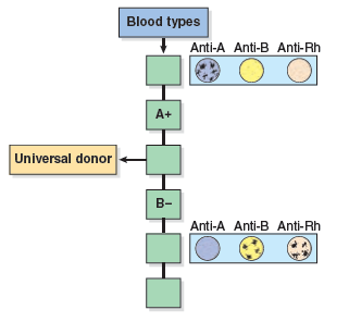 What are the consequences if an incompatible blood type is given as a donation
