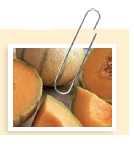 Multistate Listeria Outbreak Tied to Cantaloupe In September 2011, reports began to emerge of a food-borne outbreak of listeriosis. The initial CDC investigation found a number of cases in Colorado, Nebraska, Oklahoma, and Texas. By the time the outbreak was over in December 2011, it had stretched to 147 people in 28 states with 33 deaths and 1 miscarriage all tied to a single source: cantaloupe. Colorado was found to have the highest incidence of disease, with 40 cases and 9 deaths documented. Epidemiologists discovered why: Colorado was the home of Jensen Farms, the farm supplying the contaminated cantaloupes. Shortly after the outbreak began, Jensen Farms voluntarily recalled shipments of cantaloupe. The FDA issued a press release warning consumers not to consume cantaloupes with the Rocky Ford label that Jensen Farms had sent to 17 states. After the FDA warning, several other companies issued recalls of products containing fresh-cut cantaloupes originating from Jensen Farms. What are the signs and symptoms of listeriosis Who is at greatest risk of infection with Listeria Why was this an unusual outbreak of listeriosis Listeria monocytogenes is a gram-positive rod and is primarily spread through contaminated food. Symptoms of listeriosis are generally muscle aches, fever, diarrhea, and other gastrointestinal symptoms. Depending on the individual and the invasiveness of the organism, symptoms can include headache, stiff neck, loss of balance, confusion, and convulsions. Pregnant women can experience mild flulike symptoms, but because the organism can cross the placenta, an infection during pregnancy can cause miscarriage, premature delivery, life-threatening infection of the newborn, or stillbirth. Those at greatest risk for serious illness with listeriosis are pregnant women; newborns; people with cancer, diabetes, liver disease, kidney disease, or alcoholism; older adults; and people with AIDS or others who have weakened immune systems due to organ transplants and certain diseases. Usually, outbreaks of Listeria infection are associated with processed dairy or deli meats such as soft cheeses, hot dogs, and smoked seafood. Any unpasteurized milk or cheese is likely to be contaminated with Listeria. The bacterium can grow at refrigerator temperatures, which is why cheeses and processed meats can be the source of the pathogen. There have been numerous outbreaks associated with cheeses produced in the home such as queso fresco or locally produced cheeses sold in farmers' markets. This outbreak was the first outbreak in history associated with cantaloupe. Listeriosis is interesting because it is an unusual food-borne pathogen that causes its main symptoms outside of the gastrointestinal system. For that reason, the disease is covered in chapter 19, Infectious Diseases Affecting the Nervous System. The case in this chapter will help you remember that listeriosis is a food-borne disease. How did the CDC trace so many widespread cases to Jensen Farms What could have been done to prevent the outbreak