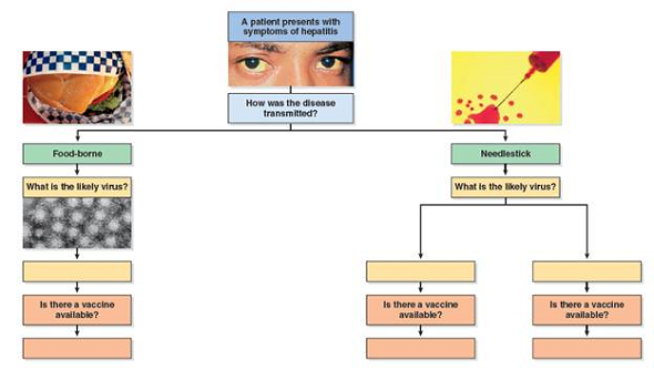 You have recently finished your nursing degree and are working at a health care clinic. A patient presents with symptoms of hepatitis. He also reports that he is a health care worker. As a clinician, what is your first assumption about the source of the infection