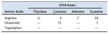 Researchers studied the interactions between proteins and DNA in more than 100 protein-DNA complexes. The table below provides a subset of the data: the distribution of single hydrogen bonds between a specific base and amino acid. A. Explain why the researchers found no single hydrogen bonds between tryptophan and one of the DNA bases. B. Explain why the researchers found single hydrogen bonds between glutamate and each of the DNA bases. C. Is there a preference of arginine for one of the amino acids? Data adapted from Luscombe et al. (2001. Nucleic Acids Res. 29: 2860-2874).