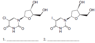 Structural analogs of nucleosides vary slightly in the chemical structure compared to the primary four nucleosides found in DNA. The structures of two nucleoside analogs used in DNA synthesis experiments are shown below. A. On the lines labeled 1 and 2, name the dexoynucleoside that these structures mimic. B. Circle the chemical group(s) on each analog that differs from the conventional deoxynucleoside.