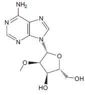 The structure given below is a nucleoside analog. A. Name the nucleoside that the structure mimics. B. Imagine a strand of RNA containing this nucleoside analog (linked by phosphodiester bonds as in normal RNA). In a high-pH environment, is the RNA strand subject to hydrolysis where the nucleoside analog is present? Explain why or why not.
