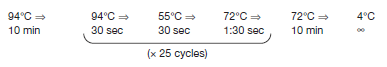 The following times and temperatures are an example of the steps for PCR. You can use Figure 7-12 to help you answer the following questions. A. Why is the first step is carried out at 94°C? B. What happens in the reaction when the temperature shifts to 55°C during cycling? C. During cycling, what occurs when the temperature is at 72°C?