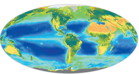 Figure 5.15 shows chlorophyll (plant growth) in oceans and on land. Explain why green, photosynthesizing organisms occur in bands at the equator and along the edges of continents. Explain the very dark green areas and yellow/orange areas on the continents. FIGURE 5.15: Satellite measurements of chlorophyll levels in the oceans and on land. Dark green to blue land areas have high biological productivity. Dark blue oceans have little chlorophyll and are biologically impoverished. Light green to yellow ocean zones are biologically rich. SOURCE: SeaWiFS/NASA.