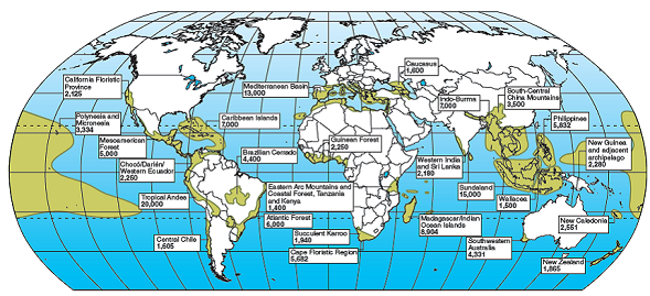 What is a biodiversity hot spot? List several of them (see fig. 5.22). FIGURE 5.22: Biodiversity hot spots identified by Conservation International tend to be in tropical or Mediterranean climates and on islands, coastlines, or mountains where many habitats exist and physical barriers encourage speciation. Numbers represent estimated endemic (locally unique) species in each area. SOURCE: Data from Conservation International.